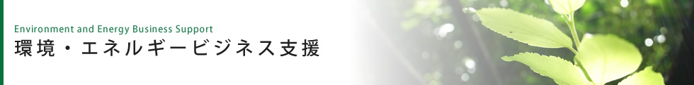 海外ビジネスコンサルティング